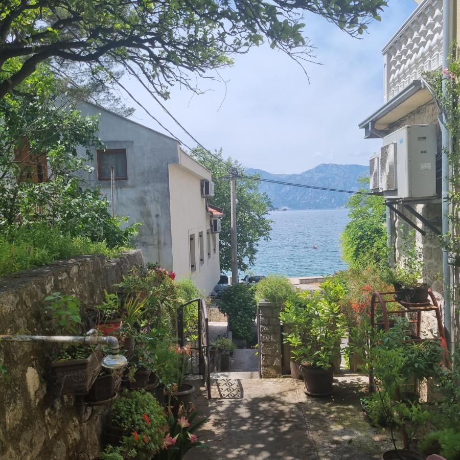 Studio On The Coast, With A View Of The Sunrise,Free We-Fi 코토르 외부 사진